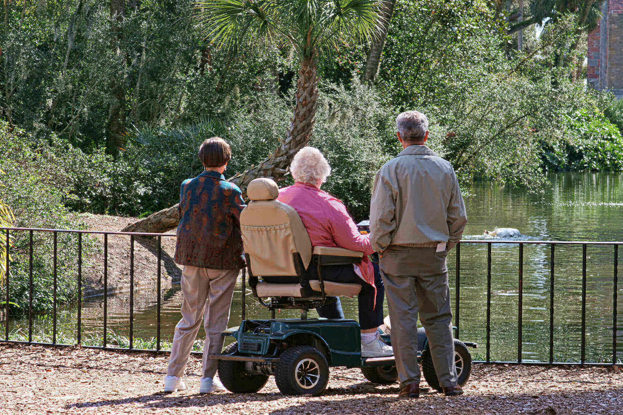 Duas pessoas em pé e uma cadeirante olhando o lago